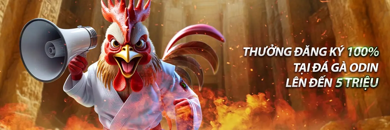 Banner khuyến mãi thể thao độc quyền từ clb88 club