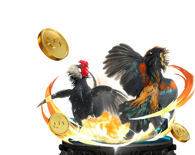 CLB88 Club 24/7 Customer Support